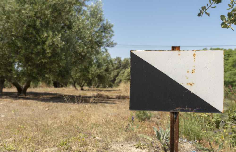 Sevilla tiene infinitas hectáreas de campo maravilloso, donde encontrarás cotos de caza para quitarte el “sentío”. Te enseñamos algunos.