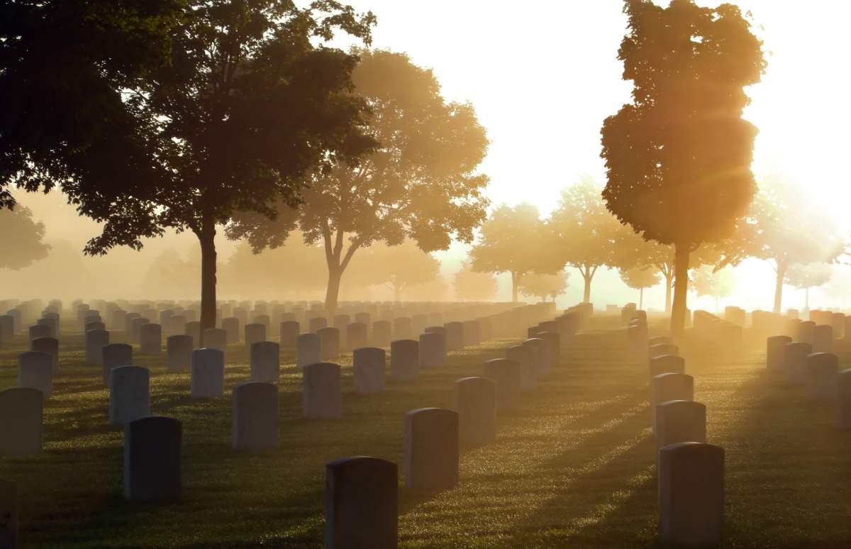 Cada vez hay más ecofunerales. ¿Cuáles son las diferencias con los tradicionales? ¿En qué consisten y qué precio tienen?