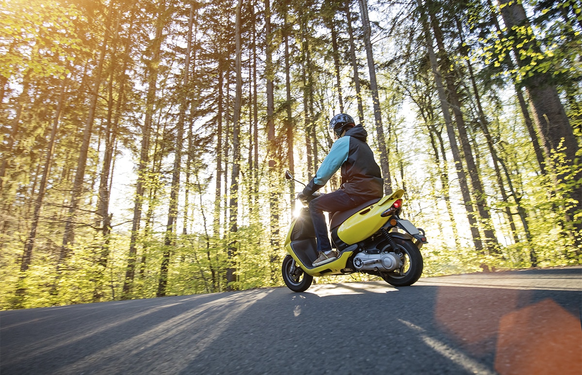 Persona conduciendo un scooter amarillo por una carretera rodeada de bosque, iluminada por la luz del sol que atraviesa los árboles