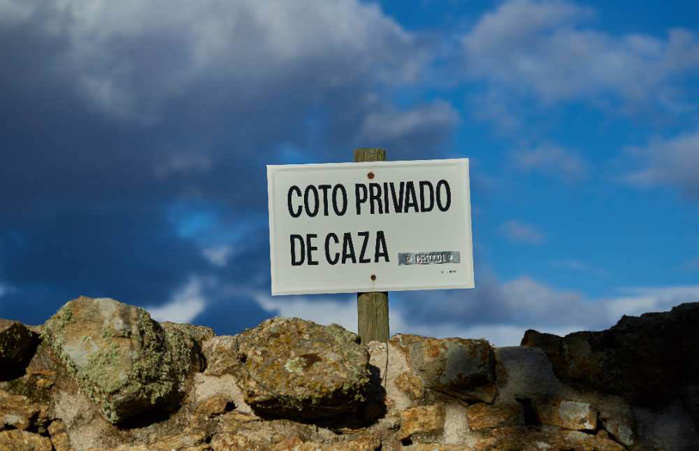 Los mejores cotos de caza en Albacete ECI Seguros Los mejores cotos de caza en Albacete ECI Seguros
