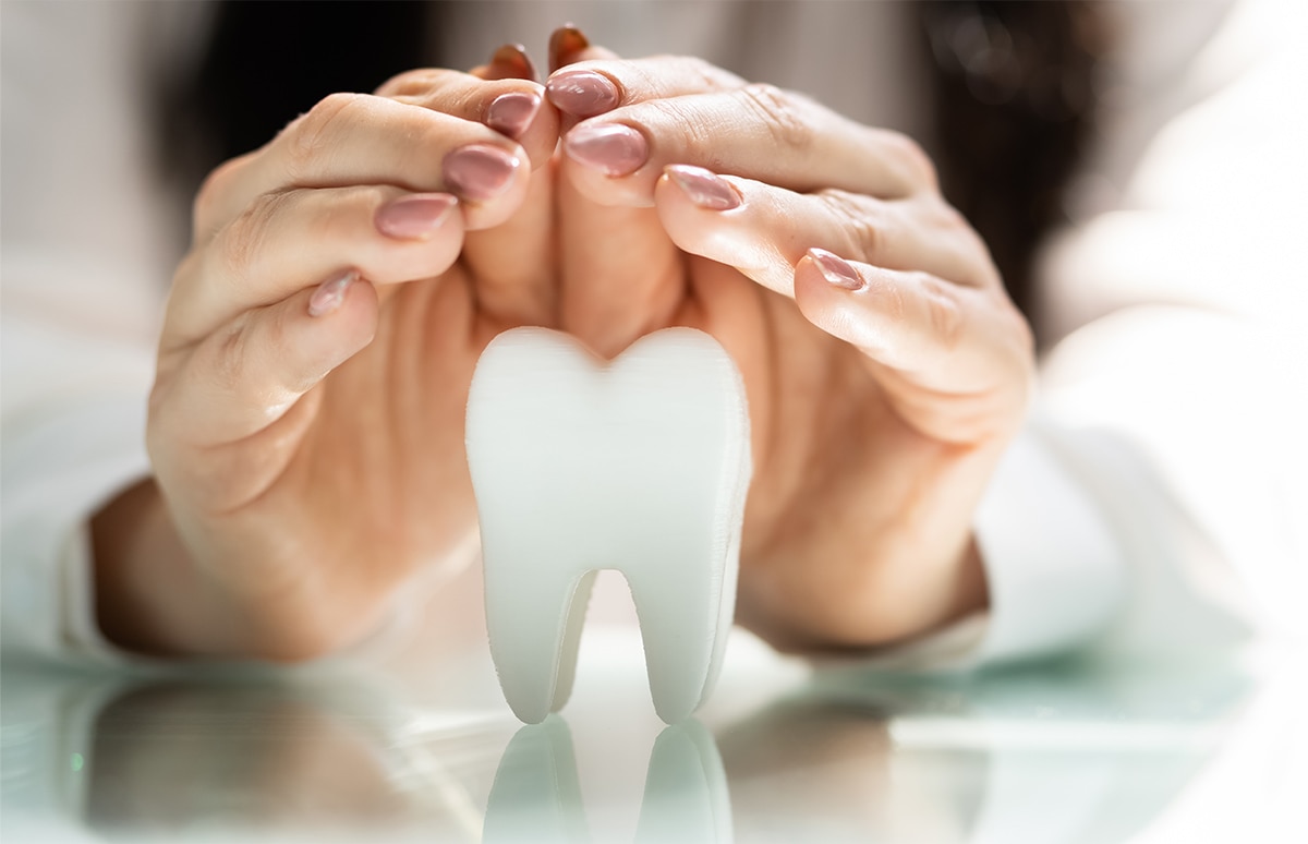 Manos de mujer cubriendo la maqueta de un diente