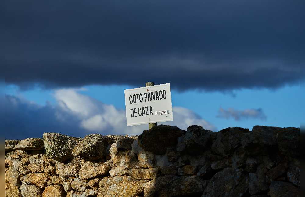 Si te gusta cazar, en Aragón podrás encontrar lugares fantásticos que te descubrimos hoy.