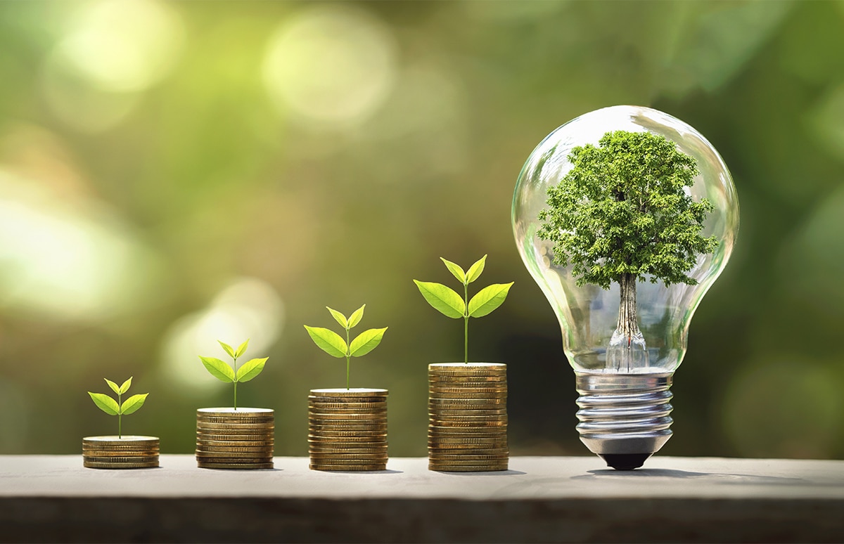 Montoncitos de monedas con brotes saliendo de ellos y una bombilla con un árbol dentro