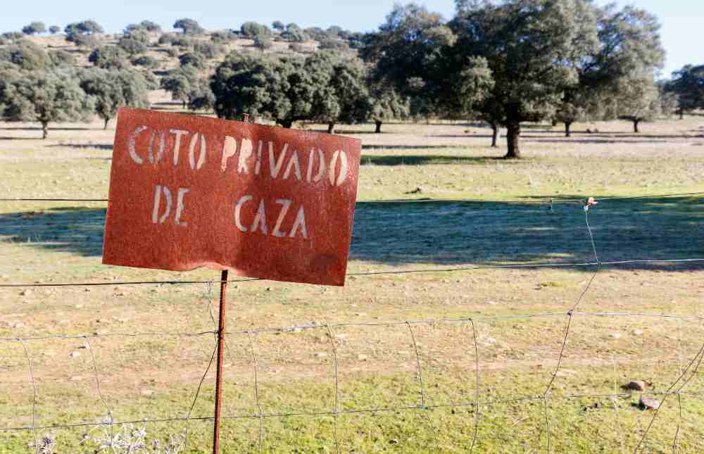 Navarra, tierra de vinos y fantásticos productos de la huerta, nos ofrece también algunos parajes donde poder practicar el deporte de la caza y disfrutar del contacto con la naturaleza.