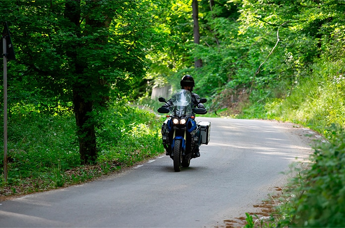 Moto avanzando por una carretera estrecha rodeada de un frondoso bosque verde