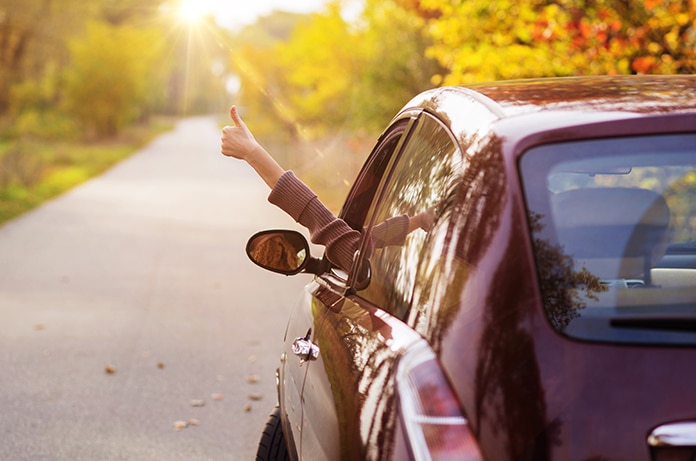 Brazo extendido desde la ventanilla de un coche mostrando un gesto de aprobación mientras el vehículo circula por un camino arbolado iluminado por el sol