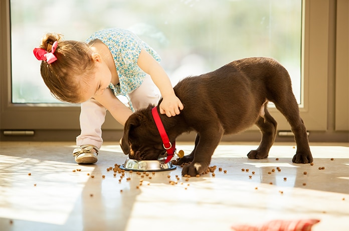 Criatura interactuando con un cachorro mientras ambos comparten un momento de alimentación en un interior iluminado por luz natural