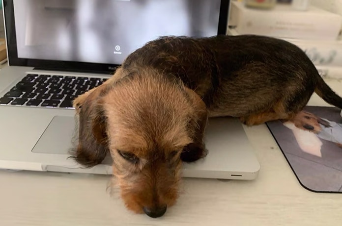 Tecker sobre un portatil